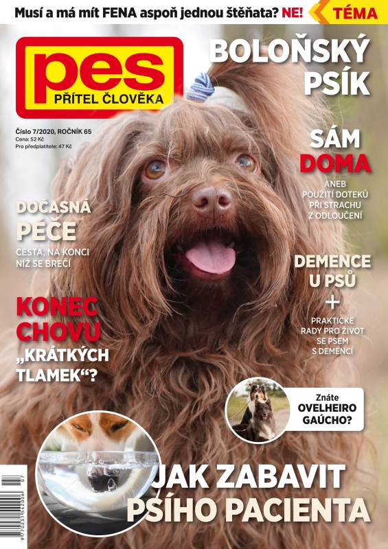 Pes přítel člověka - 07/2020 - ČLÁNEK